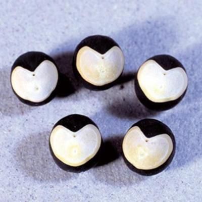 Υ٥ƥʤǿ͵Ρ ڹ񻺡ۥϡȤΥͥѥå