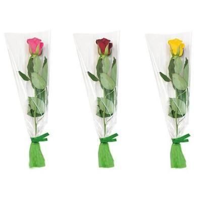 Υ٥ƥʤǿ͵Ρ ڹ񻺡ۥХ顡ܡġ