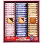 ノベルティ・粗品で人気の「 メルヴェイユ(チョコサンドクッキー) 54枚入」