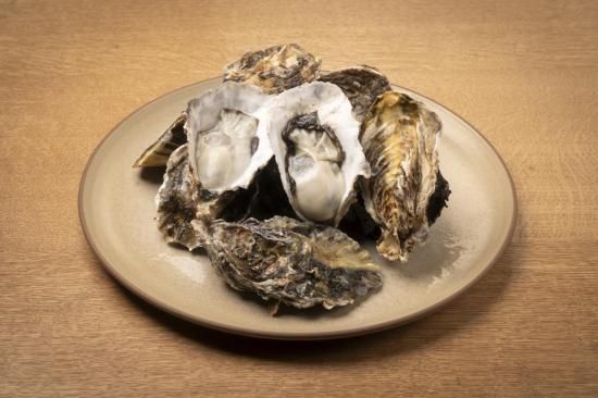 岡山 邑久産 殻付き牡蠣 半缶（1年もの）生食可 - オイスター