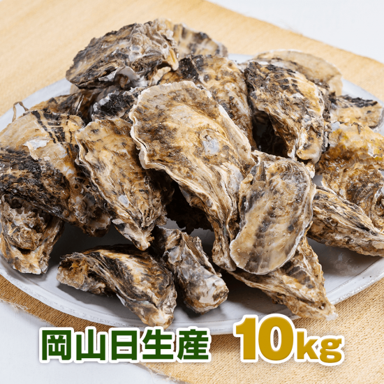 岡山 日生産 殻付き1年牡蠣 5ｋｇパック 加熱用 - オイスターギャング