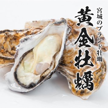 殻付き10個セット】ブランド牡蠣「黄金牡蠣」生食用 開封用ナイフ付き - 【銀鮭・牡蠣通販】宮城女川 マルキン公式オンラインショップ