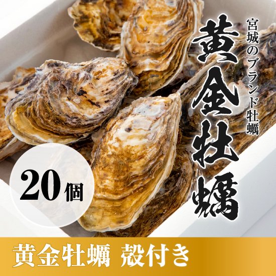 殻付き20個セット】ブランド牡蠣「黄金牡蠣」生食用 開封用ナイフ付き - 【銀鮭・牡蠣通販】宮城女川 マルキン公式オンラインショップ