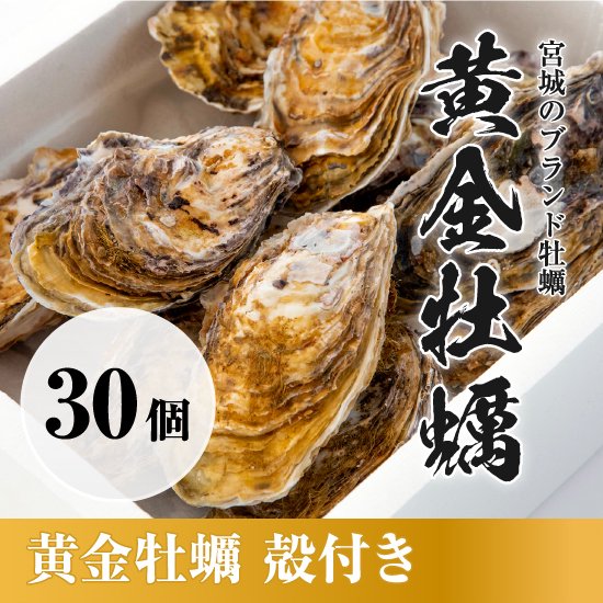 殻付き30個セット】ブランド牡蠣「黄金牡蠣」生食用 開封用ナイフ付き - 【銀鮭・牡蠣通販】宮城女川 マルキン公式オンラインショップ