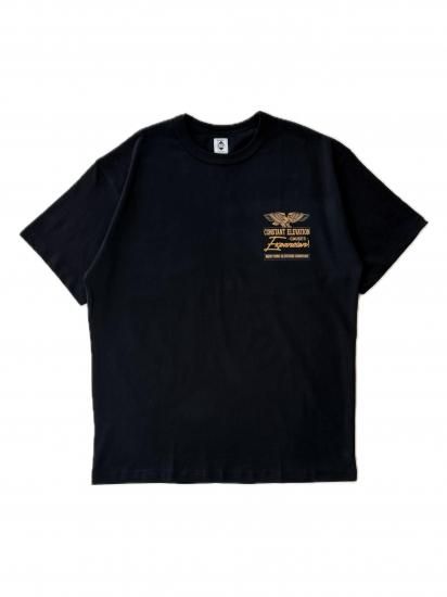 <img class='new_mark_img1' src='https://img.shop-pro.jp/img/new/icons6.gif' style='border:none;display:inline;margin:0px;padding:0px;width:auto;' />EXPANSION<br>