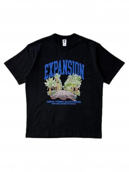 <img class='new_mark_img1' src='https://img.shop-pro.jp/img/new/icons6.gif' style='border:none;display:inline;margin:0px;padding:0px;width:auto;' />EXPANSION<br>