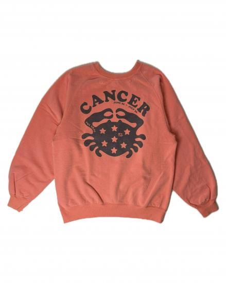 <img class='new_mark_img1' src='https://img.shop-pro.jp/img/new/icons6.gif' style='border:none;display:inline;margin:0px;padding:0px;width:auto;' />NEXUS&#8550;<br>CANCER CREW SWEAT
