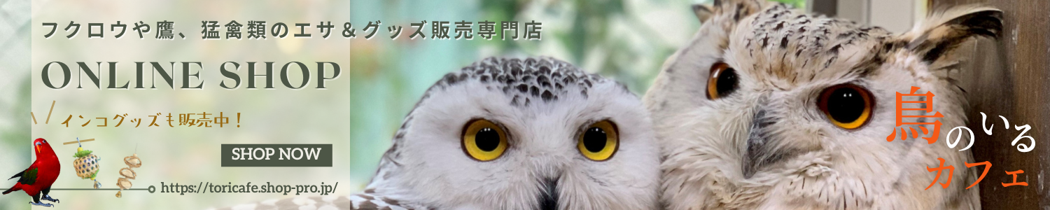 ファルコンブロック、ボーパーチ - 鳥のいるカフェ ONLINE SHOP ファルコンブロック、ボーパーチ - 鳥のいるカフェ ONLINE SHOP