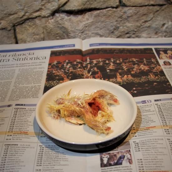 真空冷凍 処理済みヒヨコ（1羽分） - 鳥のいるカフェ ONLINE SHOP