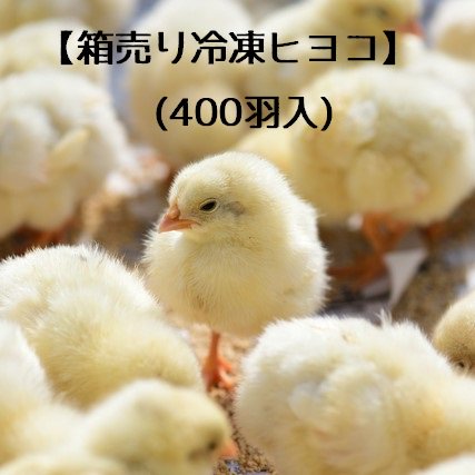 鳥のいるカフェ ONLINE SHOP