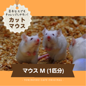 真空冷凍　カットマウス　Mサイズ　(1匹分)