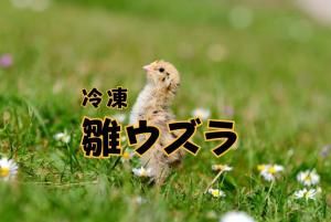 ࡡ顡500
