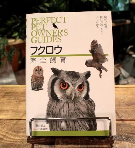 フクロウ完全飼育 PERFECT PET OWNER'S GUIDE - 鳥のいるカフェ ONLINE SHOP