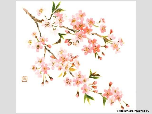 在庫一掃】エコタイプ テーブルマット No.84 桜 （100枚入） - 使い捨て弁当容器・弁当箱・食器の格安通販サイト 包材王 ワンパック
