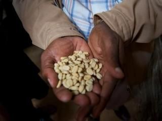 <img class='new_mark_img1' src='https://img.shop-pro.jp/img/new/icons14.gif' style='border:none;display:inline;margin:0px;padding:0px;width:auto;' />˥/󥴥硦եȥ꡼/ - 200g