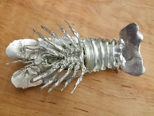 鰯金属化　イワシ金属化　イセエビ　伊勢海老　作品　フィギュア　置物　工芸 鰯金属化 イワシ金属化 イセエビ 伊勢海老 作品 フィギュア 置物