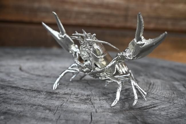 ウチダザリガニ - イワシ金属化 ／ iwashikinzokuka