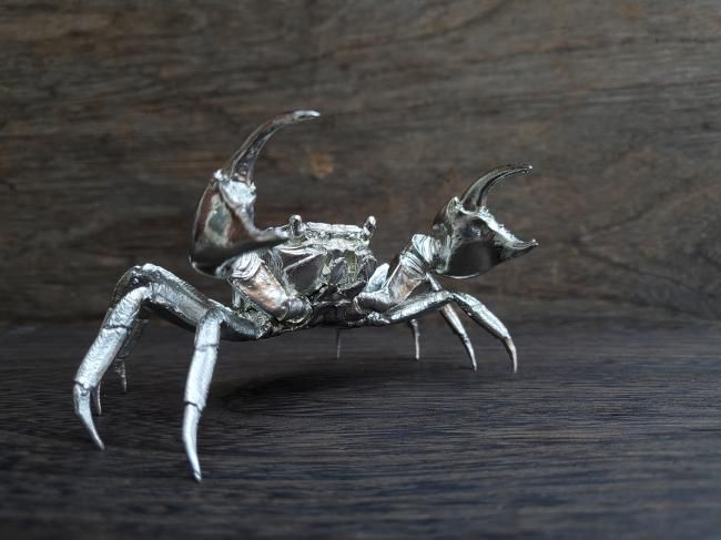 ワンフェス限定　日本カニ大全　アカテガニ　金　銀　未開封 keganittn.jpg