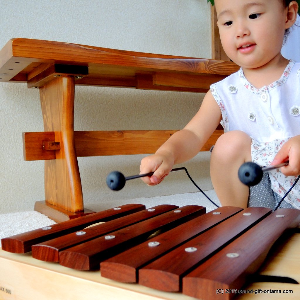 特価商品 商談中つるりん様専用 Xylophone シロフォン | www.tuttavia.eu