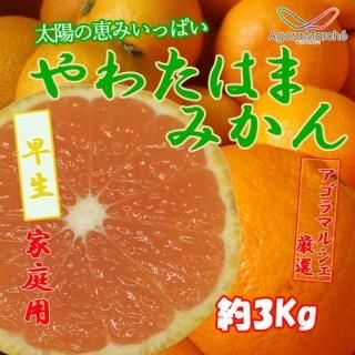 ջԲġڲѡ۰ɲȬȨͻ ߤ 3kg ()ڥޥ륷ȡ