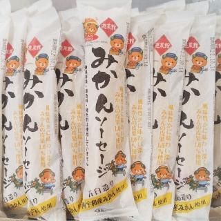 元祖魚肉ソーセージ (1本袋入/3本箱入)【西南開発】 - 愛媛県の