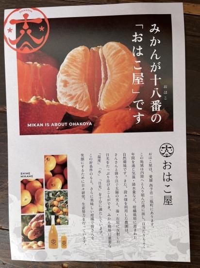 温州みかんジュース 720mL【おはこ屋】 - 愛媛県の道の駅八幡浜 温州みかんジュース 720mL【おはこ屋】 - 愛媛県の道の駅八幡浜