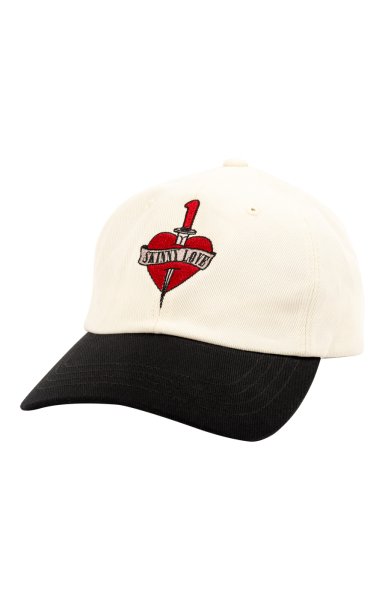 <img class='new_mark_img1' src='https://img.shop-pro.jp/img/new/icons14.gif' style='border:none;display:inline;margin:0px;padding:0px;width:auto;' />Skinny Love Embroidery Cap <br>(2 tone)