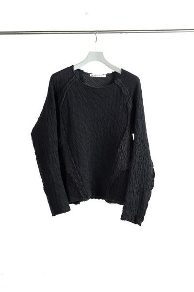 <img class='new_mark_img1' src='https://img.shop-pro.jp/img/new/icons14.gif' style='border:none;display:inline;margin:0px;padding:0px;width:auto;' />PANELED LONG SLEEVE T SHIRT<br>(BLACK)