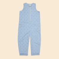 <img class='new_mark_img1' src='https://img.shop-pro.jp/img/new/icons14.gif' style='border:none;display:inline;margin:0px;padding:0px;width:auto;' />ApolinaTina Overall - Folk Floral Blue Mist (1-2Y~)