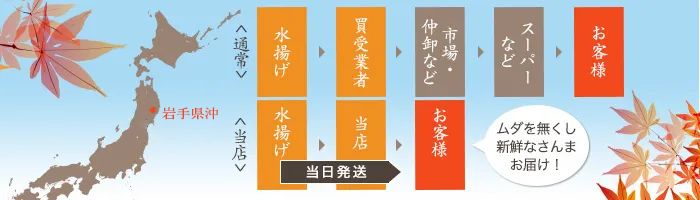 水揚げしたさんまを当日発送