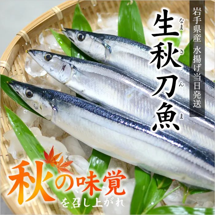 岩手県産 生さんま