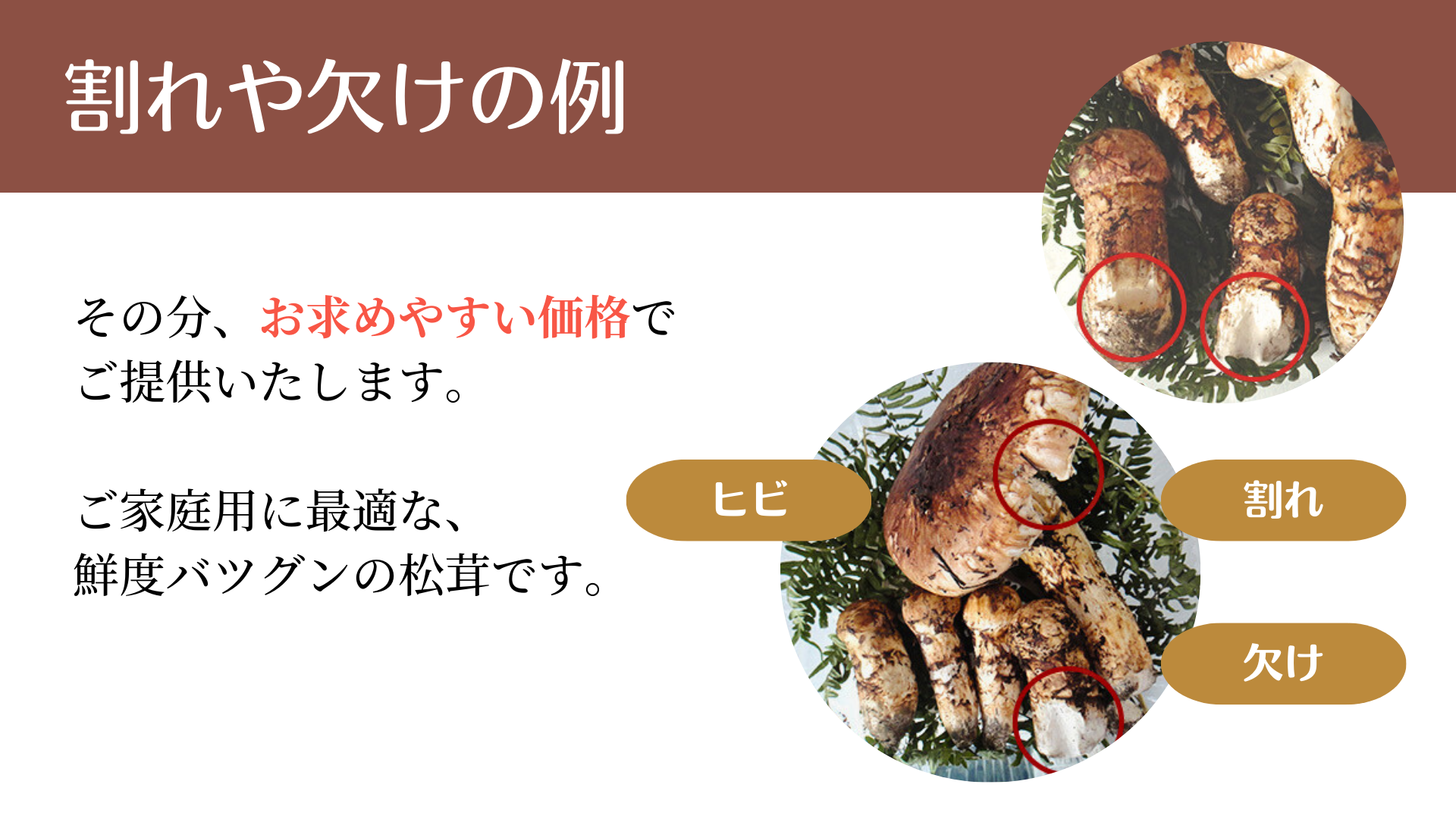 送料無料】【訳あり】 国産松茸 岩手県産 松茸 おまかせ 200g | 岩手県