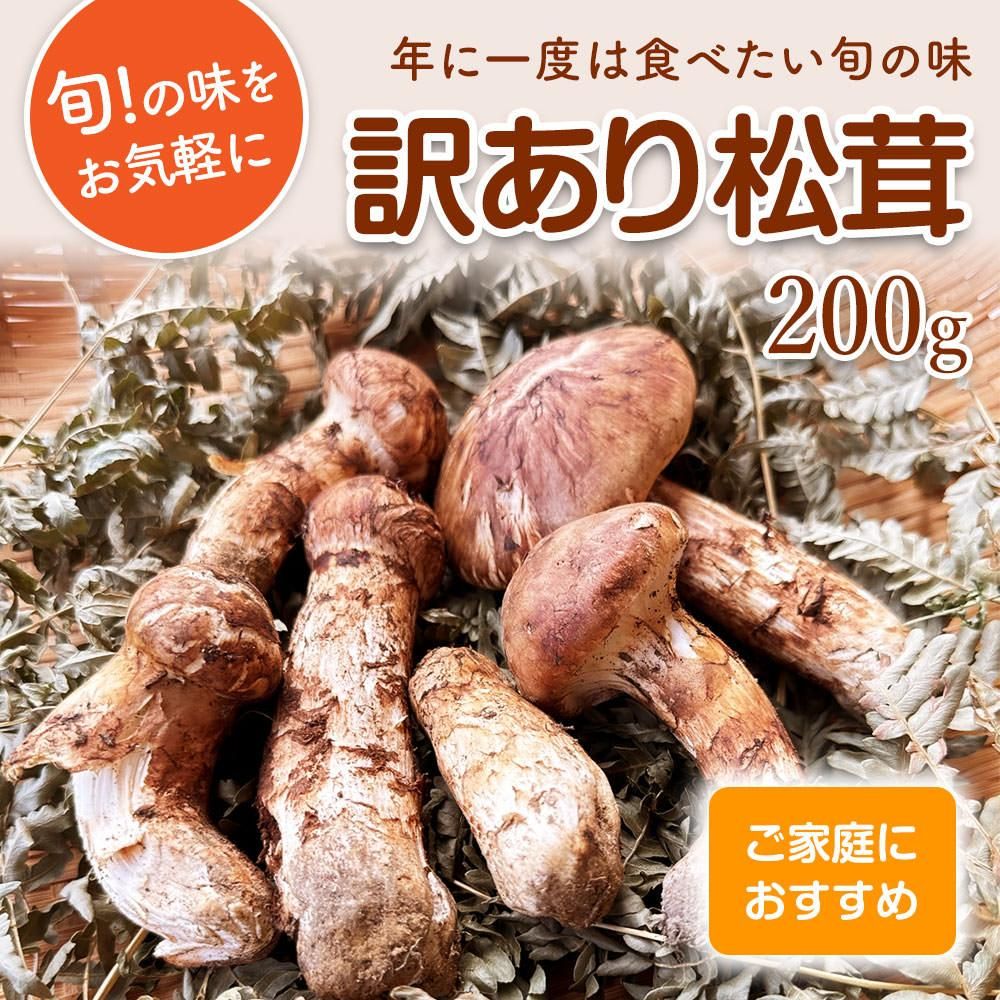 三陸産松茸1.58kg キズあり