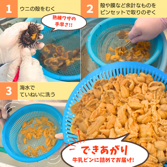 期日指定不可】三陸産 生うに2本セット(牛乳瓶2本分)【送料 期日指定不可】三陸産 生うに2本セット(牛乳瓶2本分)【送料