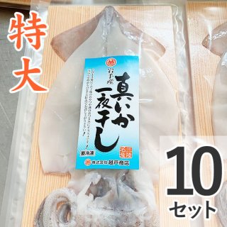 イカ - うまさ直送！マルコシ商店