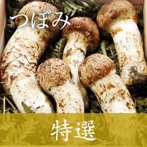 承知いたしました岩手県産松茸②つぼみ317g - 野菜