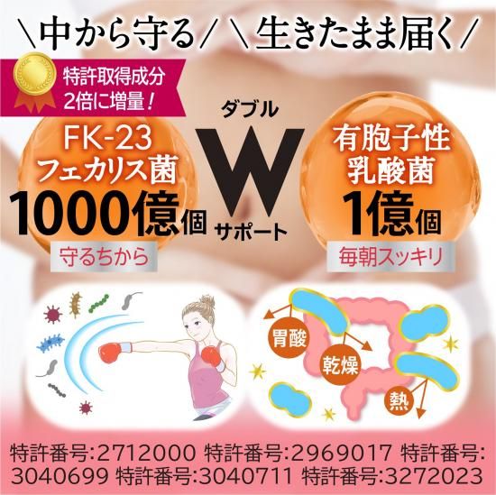 乳酸球菌フェカリス菌　FK-23+LFK　お買得2個セット Amazon.co.jp: 乳酸球菌フェカリス菌 FK-23+LFK（45g／1.5g×30包