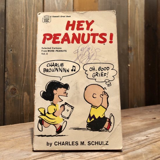 Peanuts Comic (19) / ピーナッツ スヌーピー - TOYS & JUNKS HAKIDAME