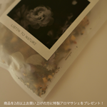 7/16~7/31δ桢ʤ2ʾ太㤤夲ءޥץ쥼ȡʤʤʤ꼡轪λ