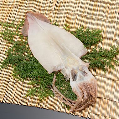 ᥤ봳1