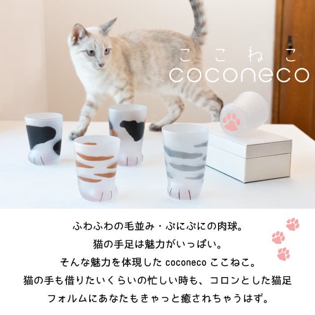 アデリア（石塚硝子） coconeco 子猫ムジ 1個 230ml (6042)