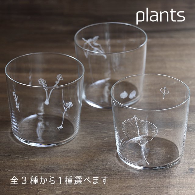 木村硝子店 plants 全3種 ロックグラス 300ml（17630・17631・17632