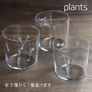 木村硝子店 plants 全3種 ロックグラス 300ml（11682・11683・11684）