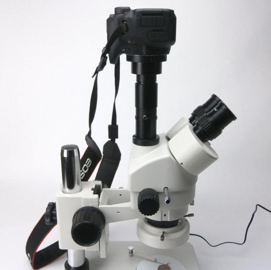顕微鏡屋セレクト Canon EFマウント一眼レフカメラ(EOSシリーズ)用顕微鏡アダプタレンズ ALC-CEF【画像13】