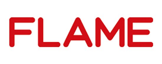 logo_flame