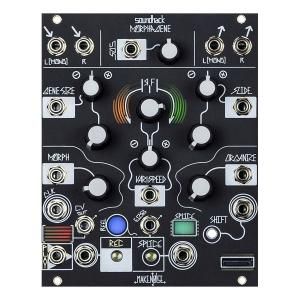 本体とリボンケーブルのみですMakenoise mimeophon