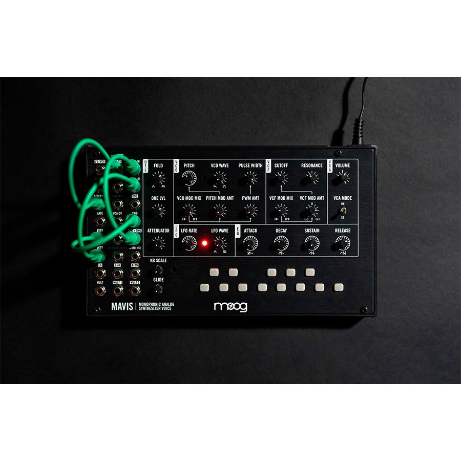 Moog | Mavis | 音源モジュール | Five G music technology