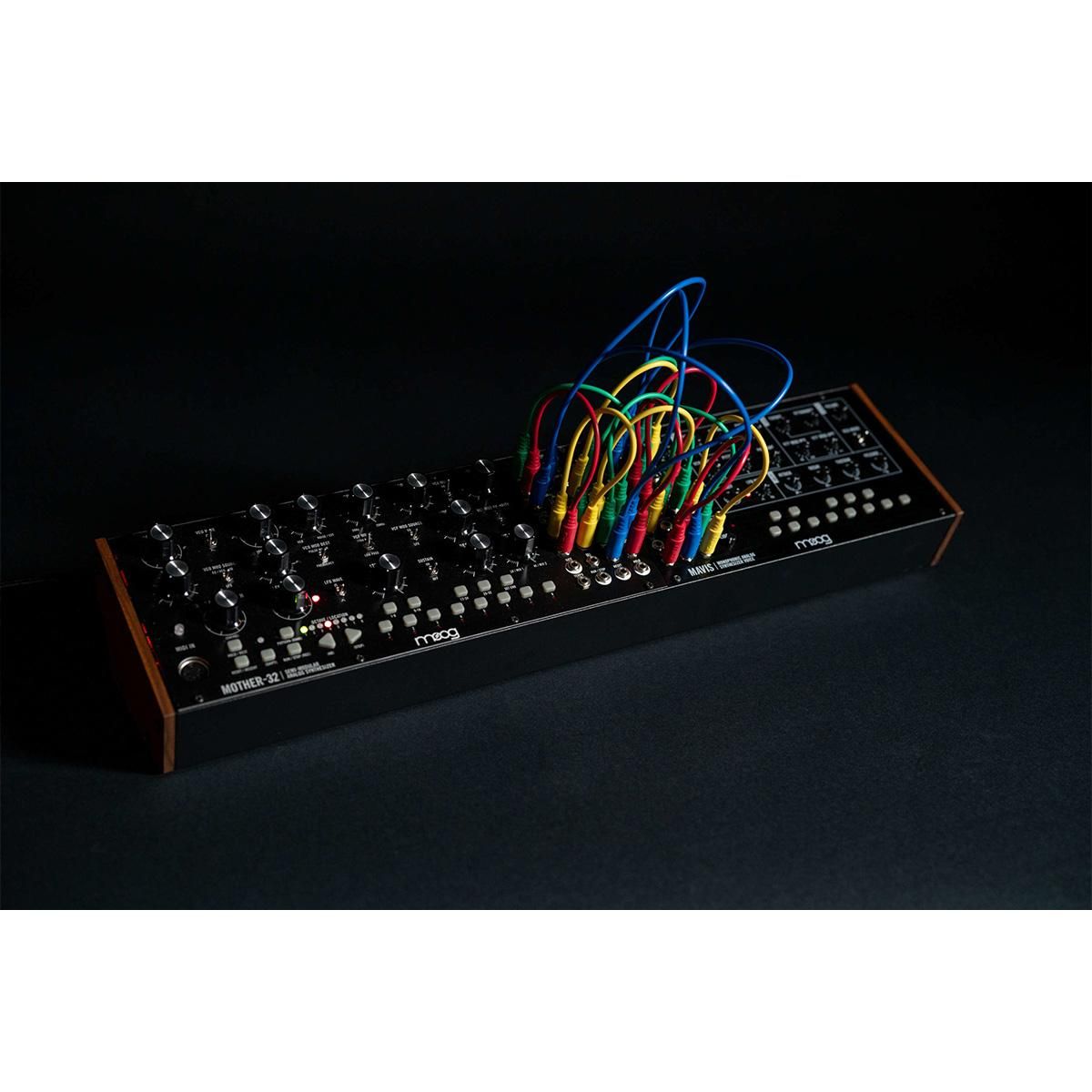 Moog | 104HP Powered Eurorack Case | ユーロラック・モジュラー