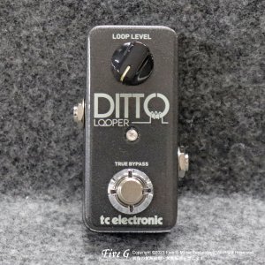 TC Electronic | Ditto Looper【中古】