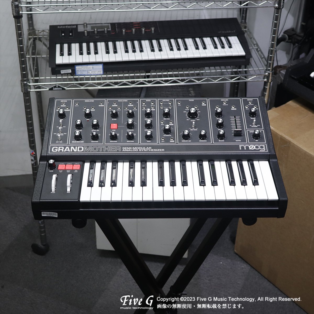 Moog | Grandmother Dark | 中古 - Used - シンセサイザー キーボード